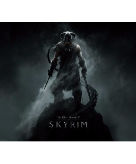 The Elder Scrolls V: Skyrim SWITCH Access Nintendo eShop Key GLOBAL